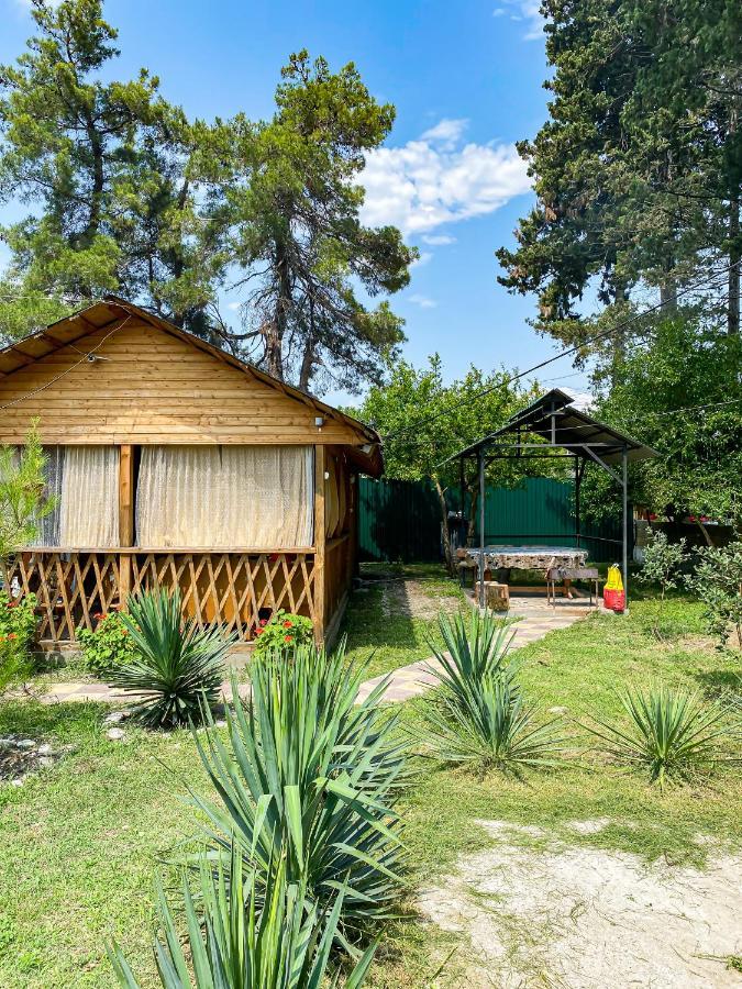 Guest House Harmony Pitsunda Dış mekan fotoğraf